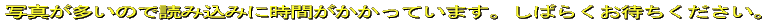 ʐ^̂œǂݍ݂ɎԂ܂B΂炭҂B 