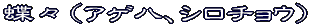 いろいろな折り方