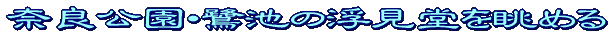W]^Cg