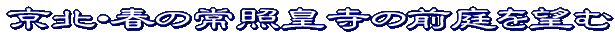 展望タイトル
