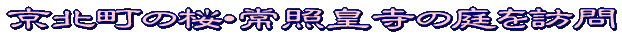 展望タイトル