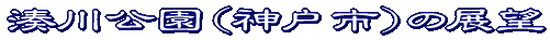 W]^Cg