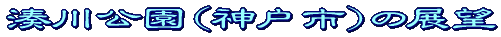 W]^Cg