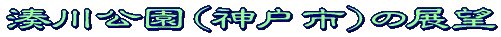W]^Cg