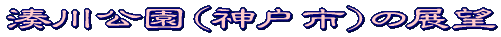 W]^Cg