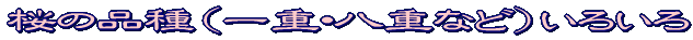 W]^Cg