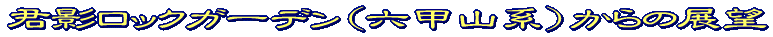 W]^Cg