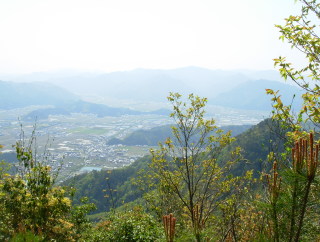 �ʐ^���N���b�N����Ɓh�L�����L�����W�]�ʐ^�h���o�Ă��܂��B