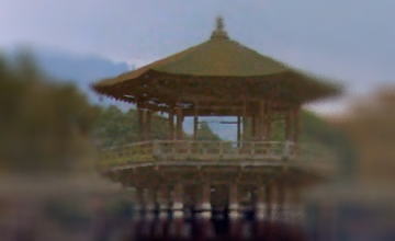 ���̎ʐ^�������Ɗg��ʐ^���o�܂�