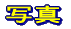 ʐ^ 